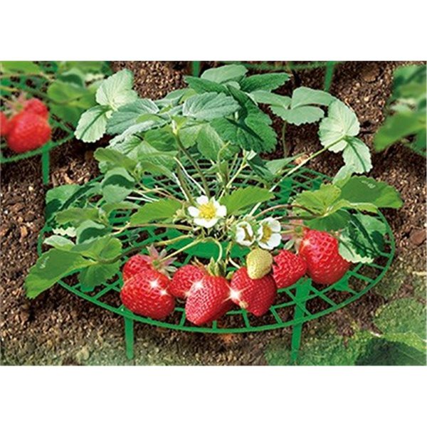 Gardencare Plant Supports for Gardening fruits  Vegetables 10PK GA2073451